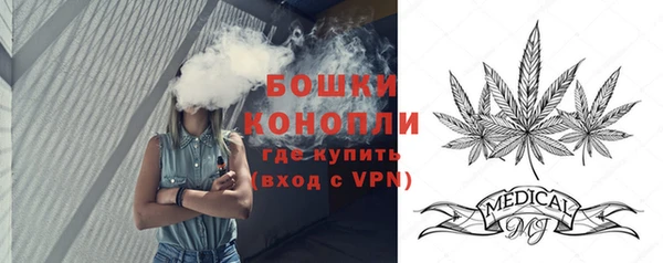 ГАЛЛЮЦИНОГЕННЫЕ ГРИБЫ Остров
