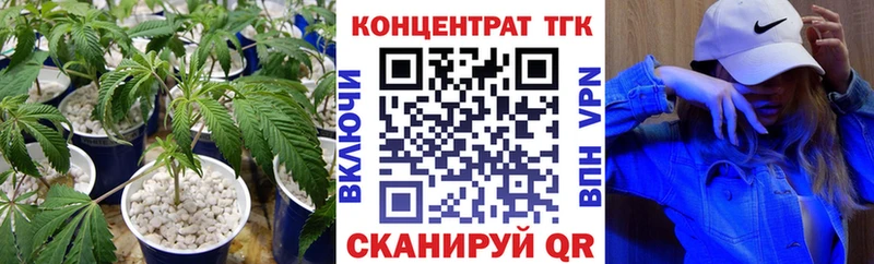 shop какой сайт  гидра онион  Рыбное  ТГК Wax 