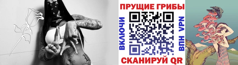 Псилоцибиновые грибы мицелий Рыбное