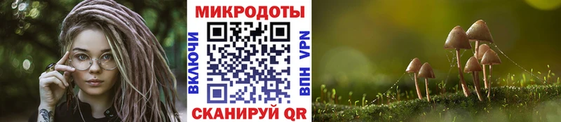 кракен   Рыбное  Галлюциногенные грибы Magic Shrooms  где купить  